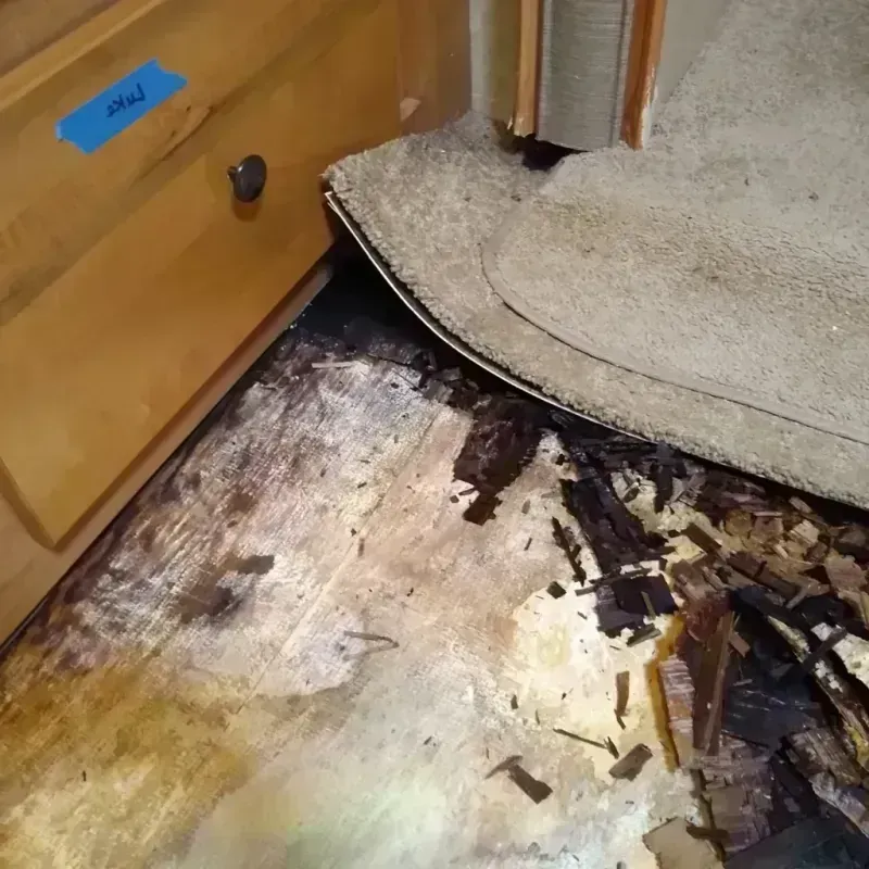 Best Wood Floor Water Damage Service in Lonsdale, MN